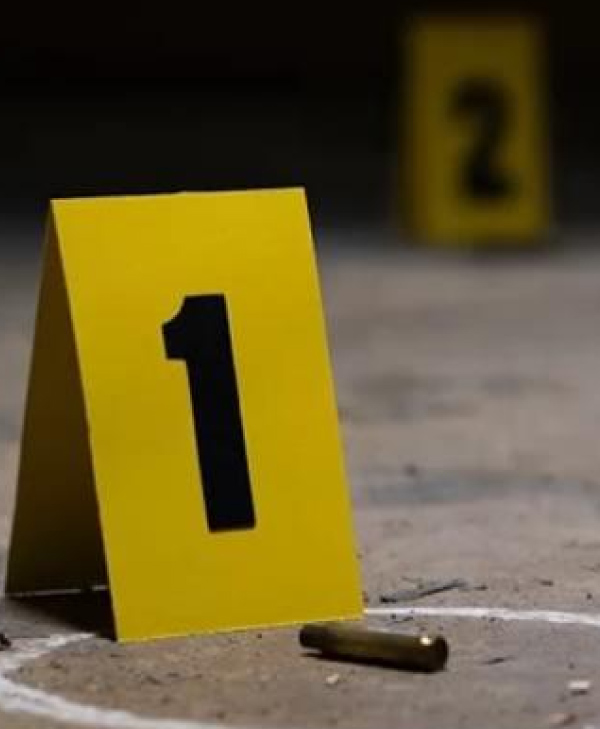 Escenarios Criminales | Universidad Da Vinci de Guatemala ...
